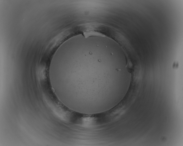X0000115650216200911101547