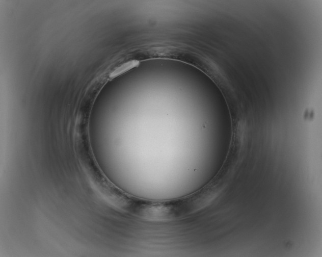 X0000115650217200911101547