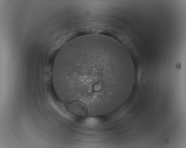 X0000115650218200911101547