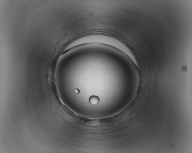 X0000115650219200911101547