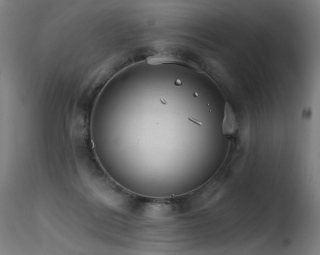 X0000115650220200911101547