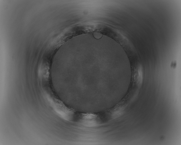 X0000115650226200911101547