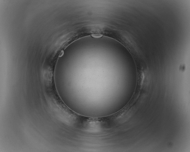 X0000115650228200911101547
