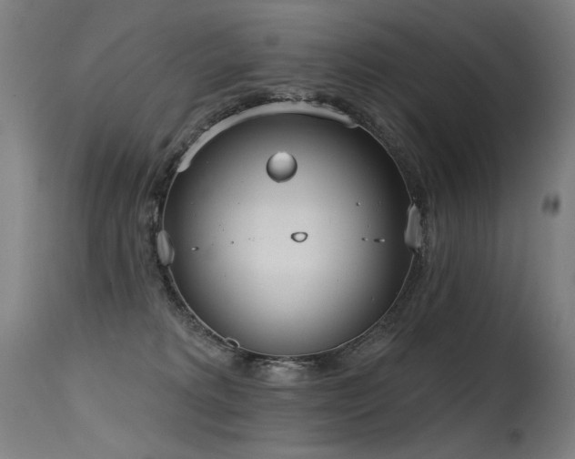X0000115650229200911101547