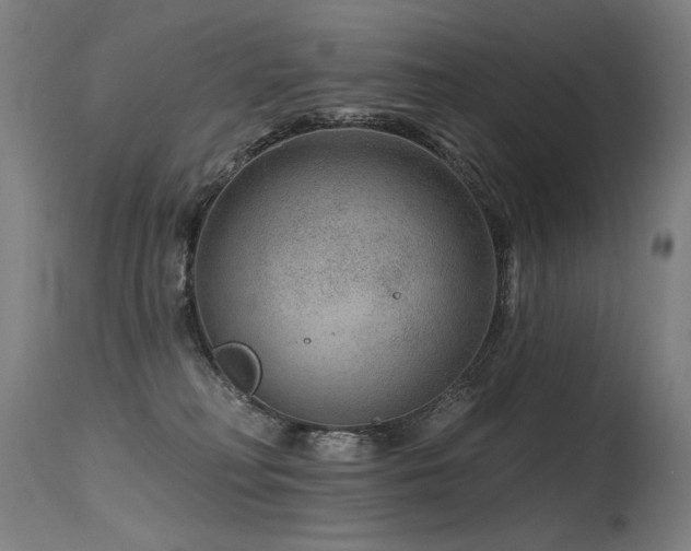 X0000115650230200911101547