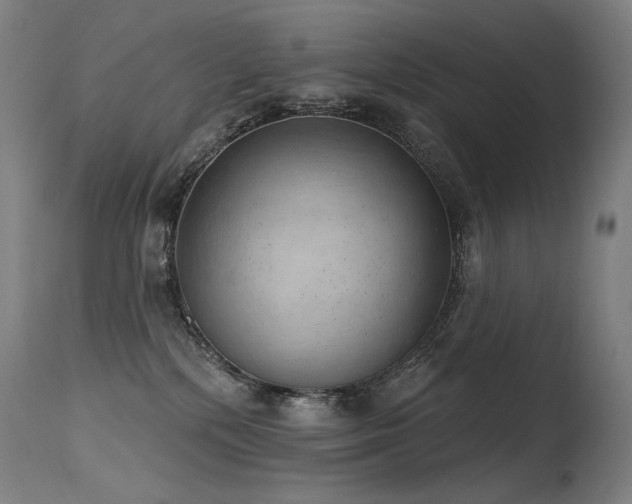 X0000115650232200911101547