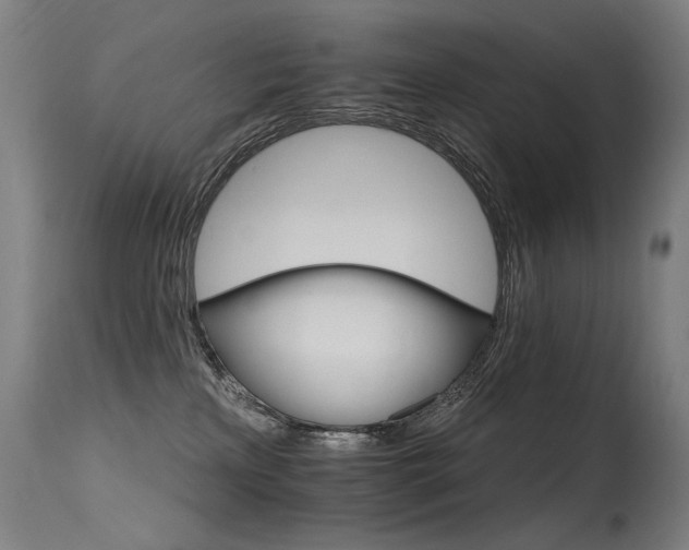 X0000115650233200911101547