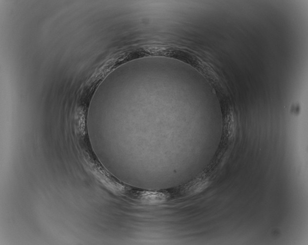 X0000115650234200911101547