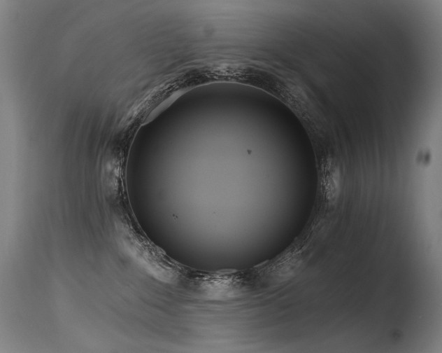 X0000115650235200911101547