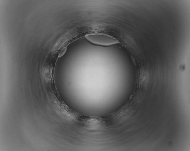 X0000115650236200911101547