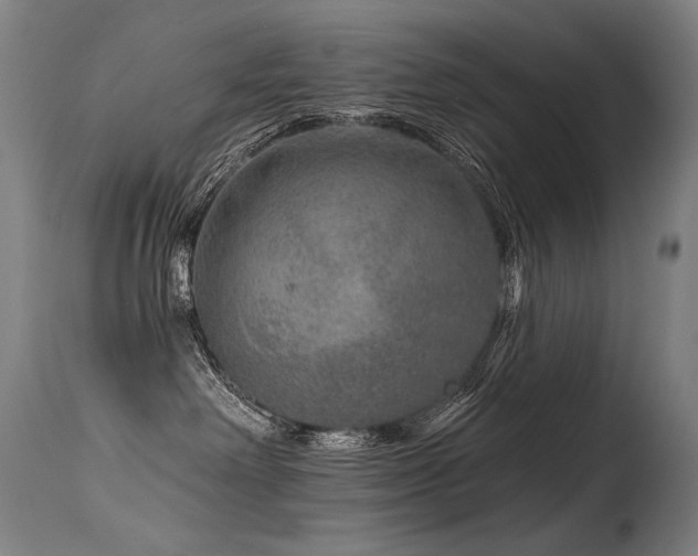 X0000115650238200911101547