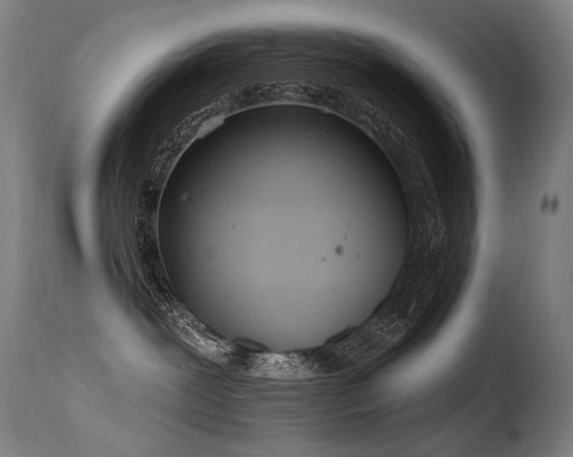 X0000115650239200911101547