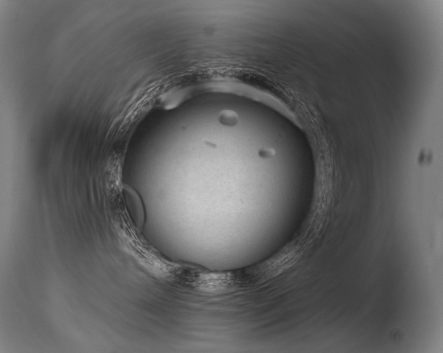 X0000115650240200911101547