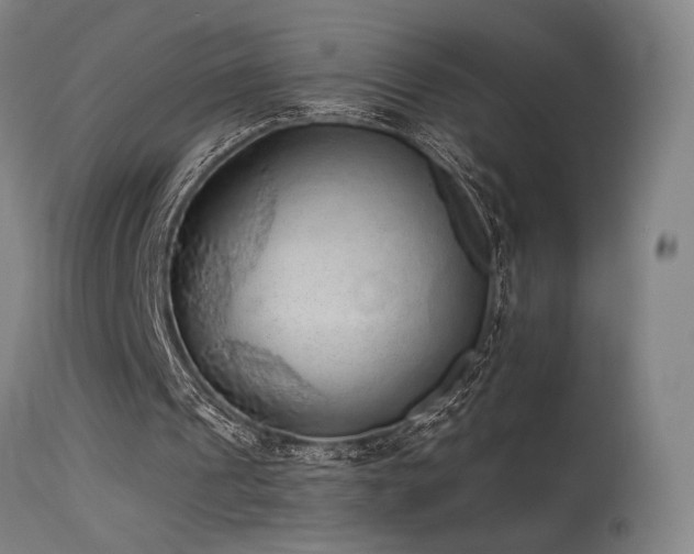 X0000115650241200911101546