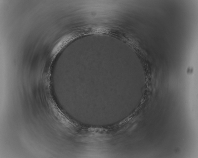 X0000115650242200911101546