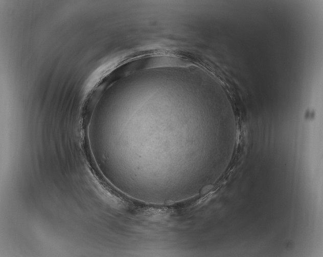 X0000115650245200911101546