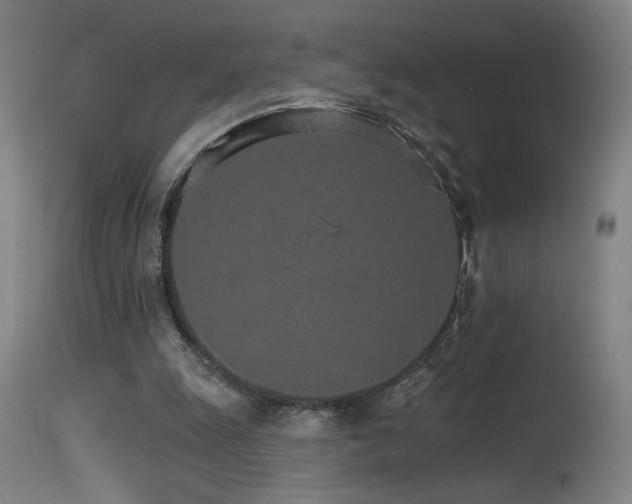 X0000115650247200911101546