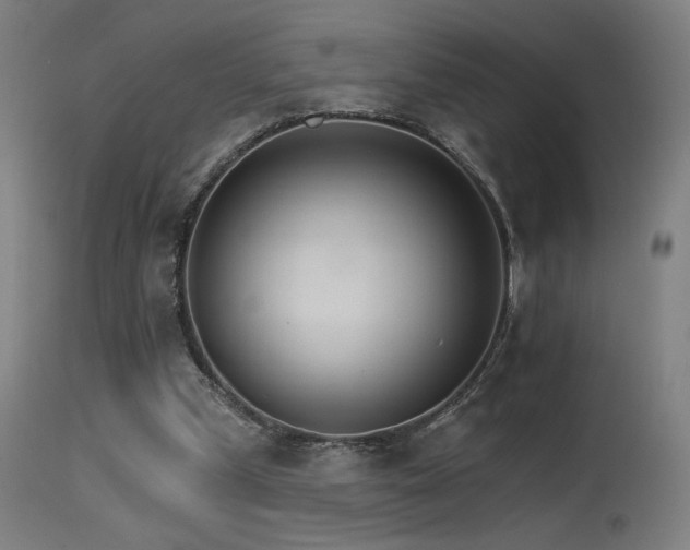 X0000115650249200911101546