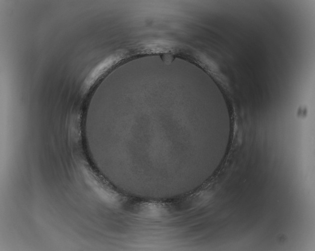 X0000115650250200911101546