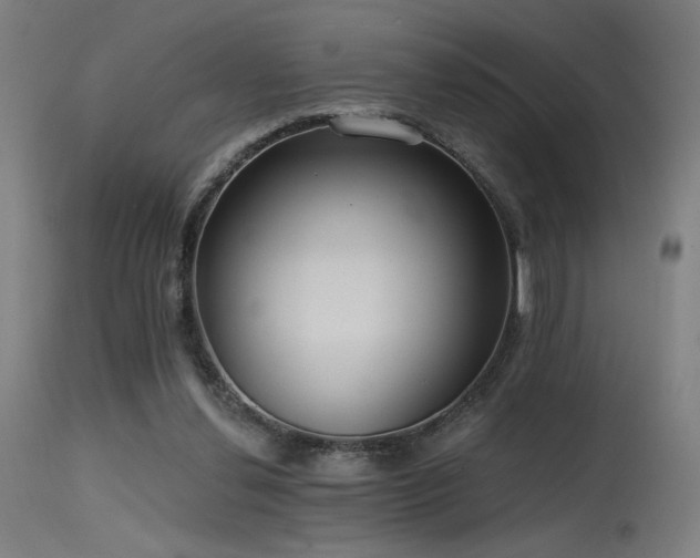 X0000115650252200911101546