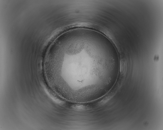 X0000115650253200911101546