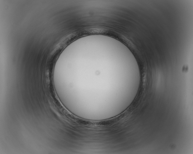 X0000115650254200911101546