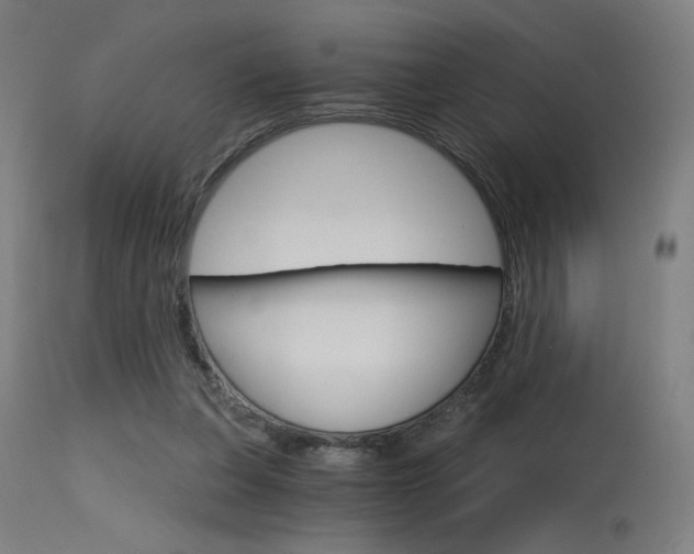 X0000115650255200911101546