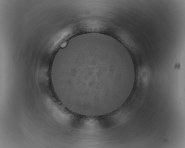 X0000115650258200911101546