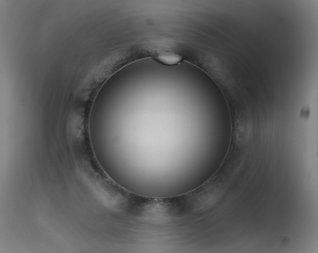 X0000115650259200911101546