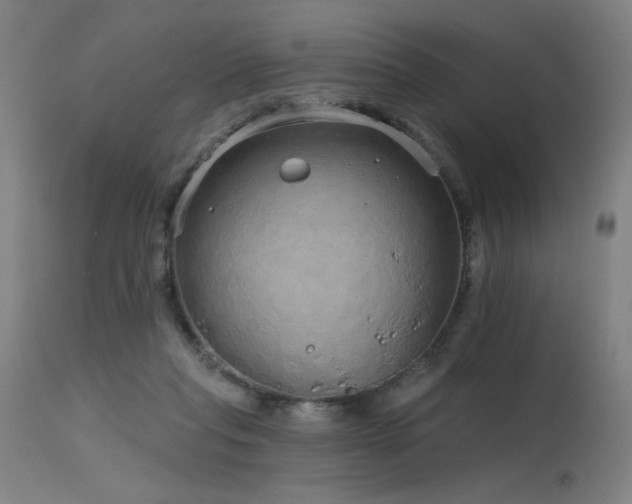 X0000115650261200911101546