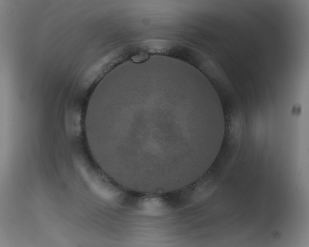 X0000115650262200911101546