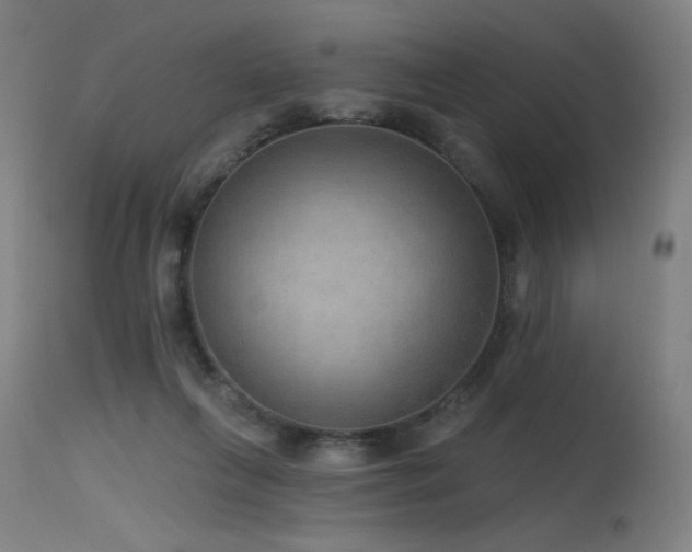 X0000115650263200911101546