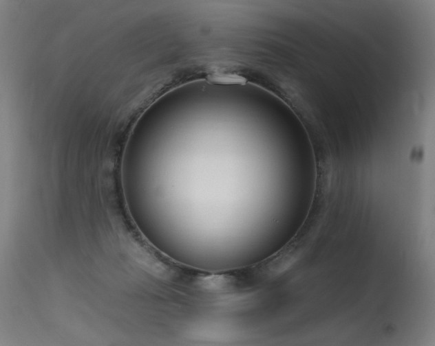 X0000115650269200911101546
