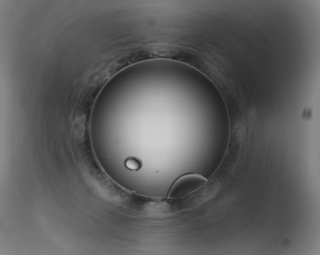 X0000115650271200911101546