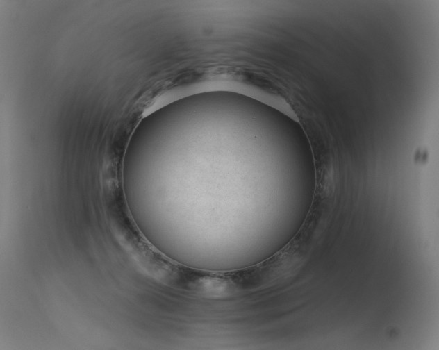 X0000115650272200911101546