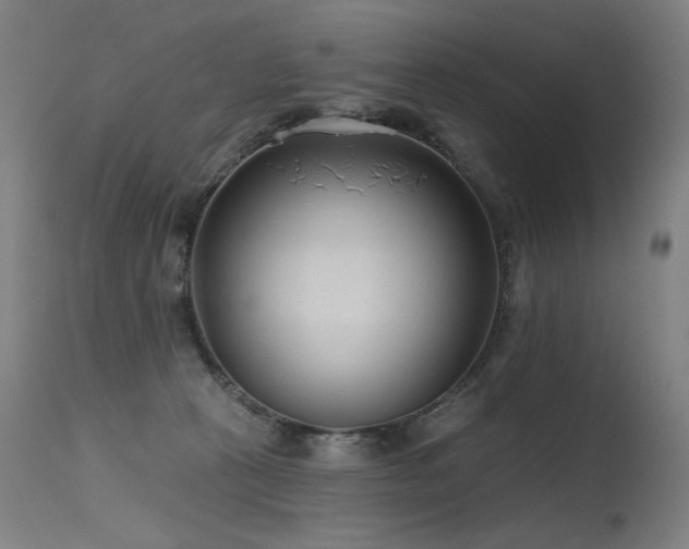 X0000115650273200911101546
