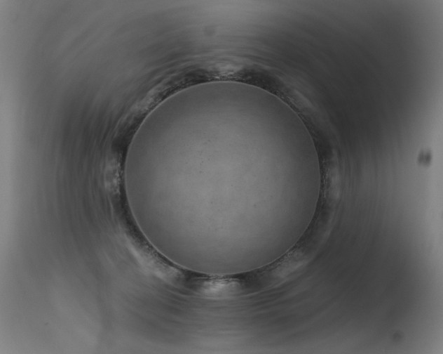 X0000115650274200911101546