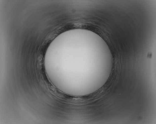 X0000115650275200911101546