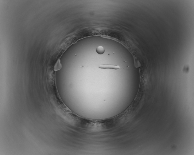 X0000115650276200911101546