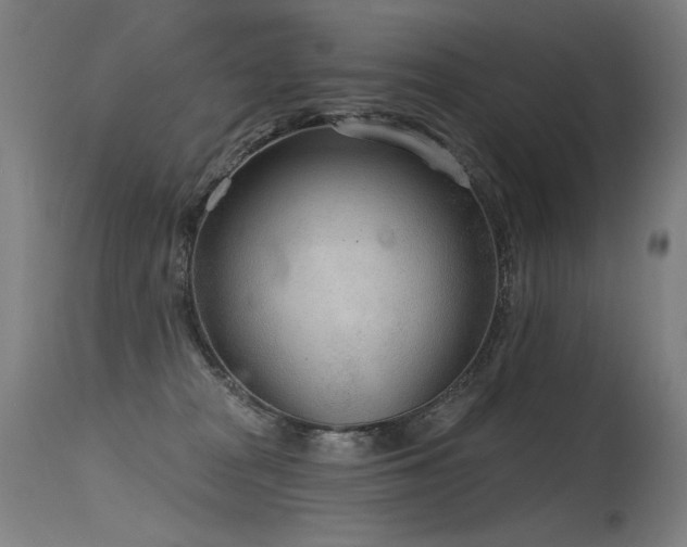 X0000115650277200911101546
