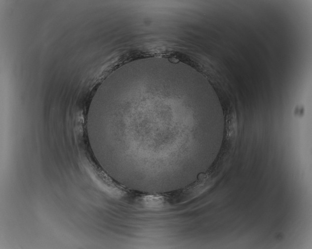 X0000115650279200911101546