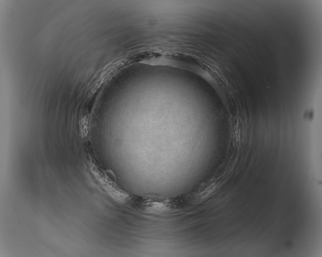 X0000115650285200911101546