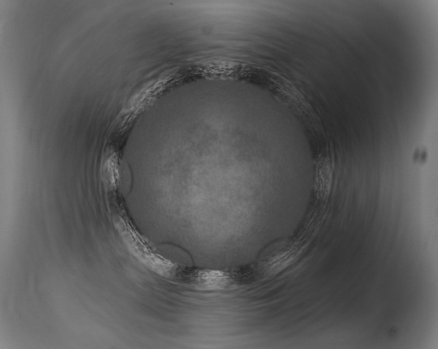 X0000115650287200911101546
