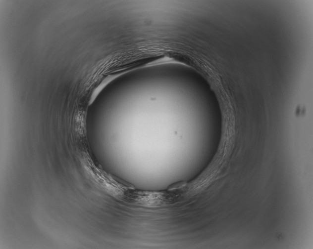 X0000115650288200911101547