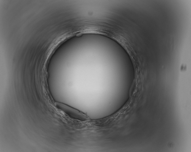 X0000115650289200911101546