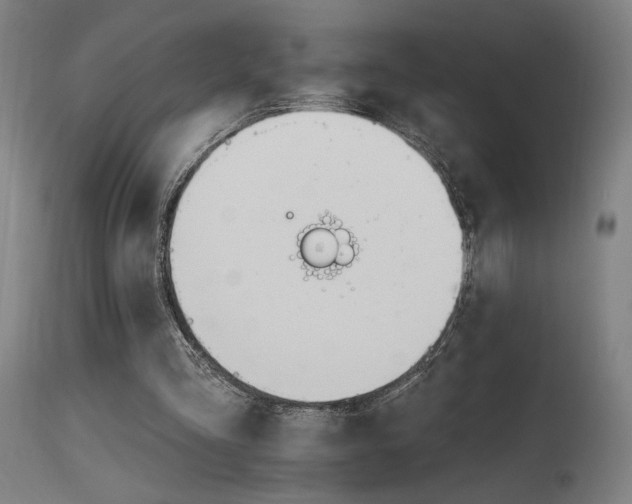 X0000115650293200911101546