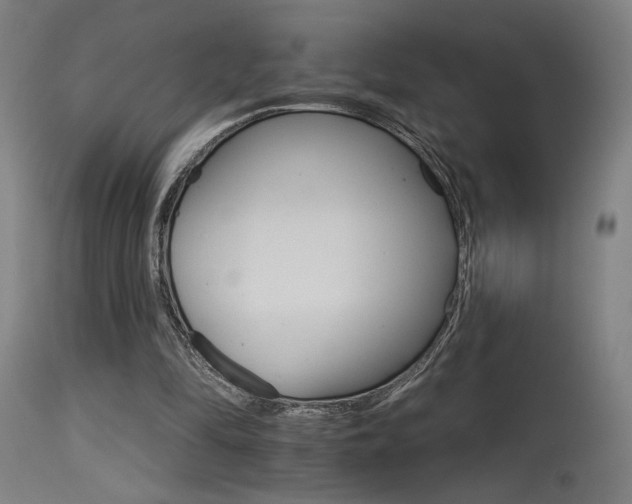 X0000115650294200911101546