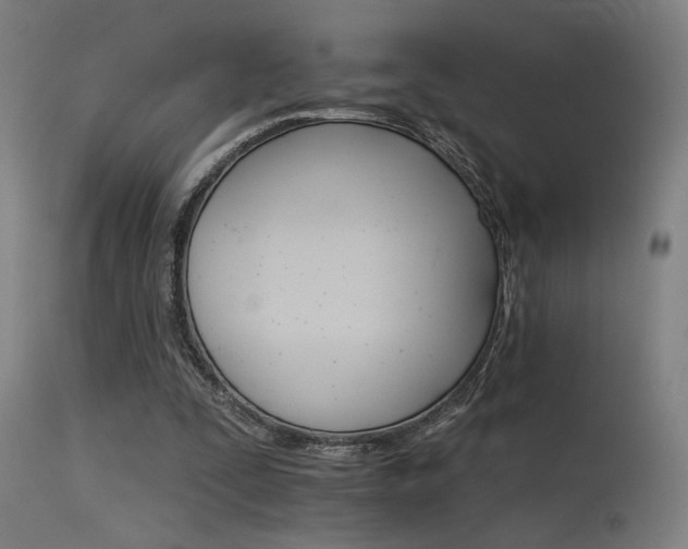 X0000115650295200911101546