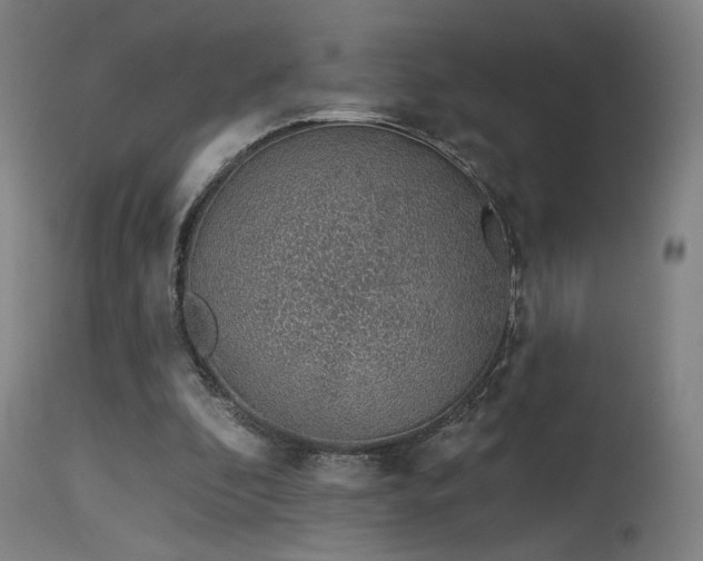 X0000115650296200911101546