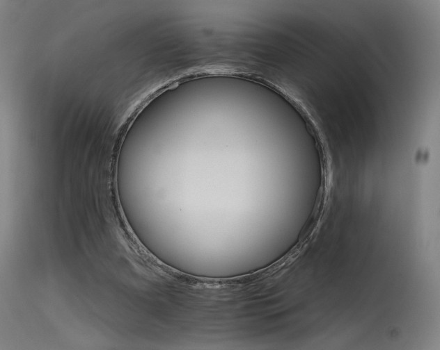 X0000115650297200911101546
